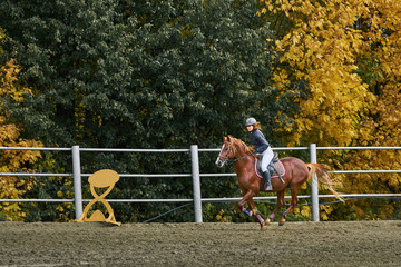 Young woman jockey in white black dress and black boots, takes part in equestrian competitions.
