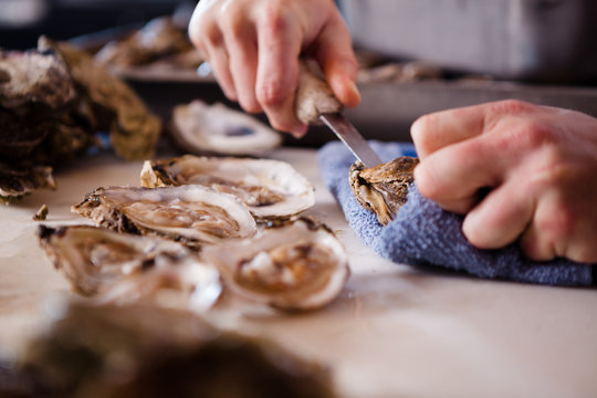 Hands Shucking Fresh Oysters