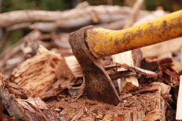 axe in a tree stump
