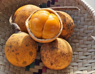 african exotic fruit maboque