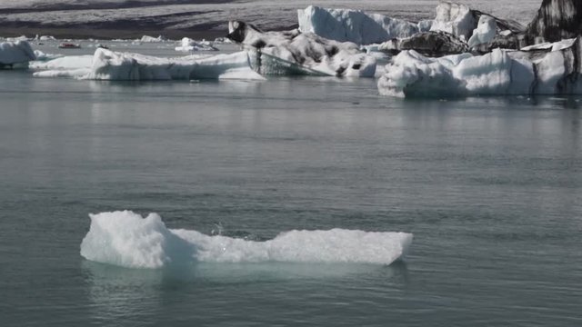 Antarctica floating sea ice glaciers icebergs