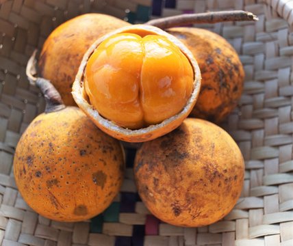 african exotic fruit