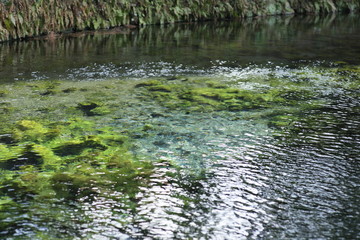 水源地