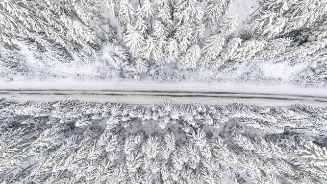 Fototapeta Snow covered forest in winter with road cutting through. Aerial top view of white winter wonderland 