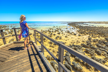 Lifestyle woman looking at Australian Stromatolites Hamelin Pool, a protected Marine Nature Reserve in Shark Bay, Western Australia. Happy tourist standing at Australian reef in sunny day, blue sky. - Powered by Adobe