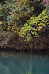 日本の湖（白丸湖）