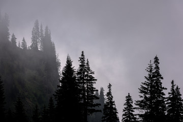 High mountain landscape whit trees silhouette in the Southern Carpathians of Romania. Foggy mountain landscape.