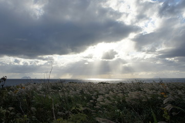 すすきと薄明光線