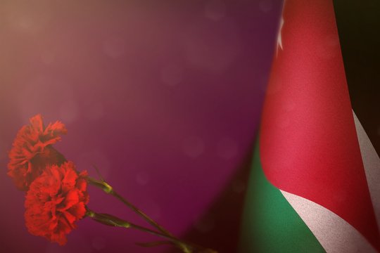 Jordan flag for honour of veterans or memorial day with two red carnation flowers. Glory to Jordan heroes of war concept on pink dark velvet. - Powered by Adobe