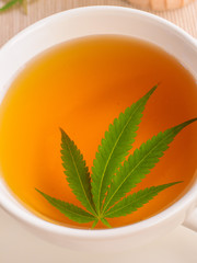 tea with marijuana. Cannabis leaf is brewed in herbal decoction to treat pain and increase appetite. concept of marijuana use for medicinal purposes.