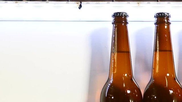 Beer factory. Final part of technological part of beer producing. conveyor in brewery, Queue of ready filled bottles on the conveyer. 4k