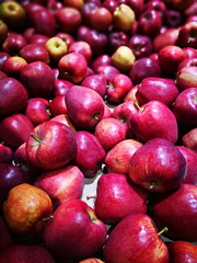 Apple 02A