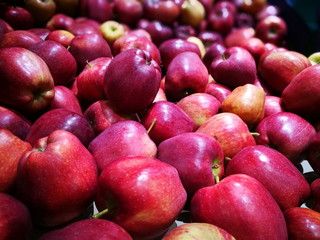 Apple 02