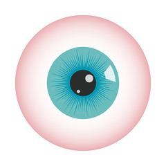 Human eyeball icon. Human eye structure. Vector illustration.