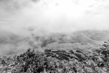 Beautiful black and white view of Pastures and clouds above Sete Cidades in Sao Miguel, Azores.