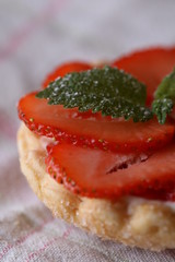 erdbeere