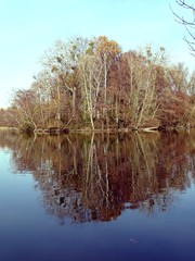 Fototapeta na wymiar reflection of autumn trees in the water
