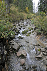 schwarzwasserbach im kleinwalsertal