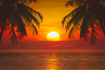 Summer tropical backgrounds with palms - obrazy, fototapety, plakaty