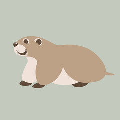  cartoon marmot ,vector illustration ,flat style,