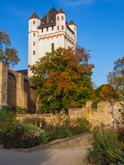 Fototapeta na wymiar Kurfürstliche Burg von Eltville am Rhein