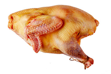 raw free-range whole turkey, top view