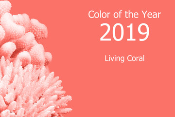 Living Coral color of the Year 2019. Trendy color.