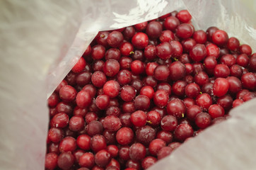  frozen lingonberries in a pie dough