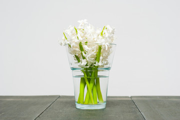 Hyacinths