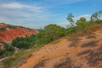 The sand dunes of Vietnam
