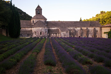 Abbey of Senaque in Provence