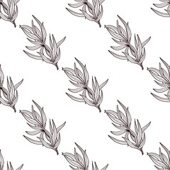 Tarragon. Stem leaves. Sketch. Monophonic. Background, wallpaper, seamless, texture.