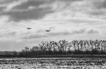 airborne troops of the Ukrainian Armed Forces