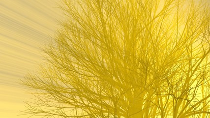 Obraz premium Lonely tree without leaves in fog or mist lit by bright orange sun god rays . 3d illustration. Travel and camping concept