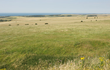 South Downs, Brighton, Sussex, England