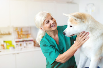 Female veterinarian examining a dog in her office