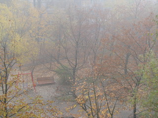 Foggy autumn morning in the city