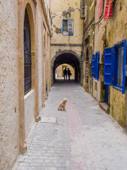 Obraz premium From the alleys of Essaouira Medina