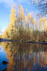  The shore of the lake Smartie. The reflection in the water