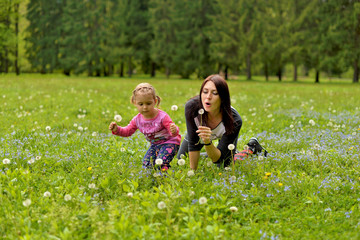 Naklejka na ściany i meble A young mother with a little daughter playing on a green meadow among meadow flowers.