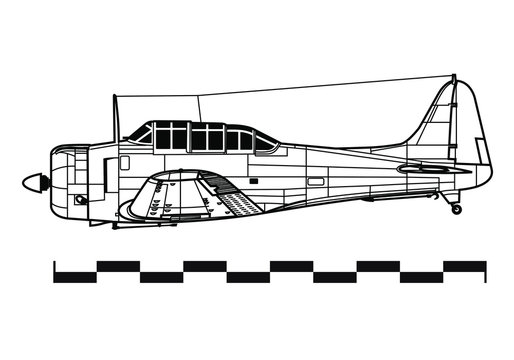 Douglas SBD DAUNTLESS. Outline drawing