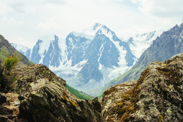 Wonderful glacier on rock background. Giant snowy mountain top behind rocky mountains under cloudy sky. Huge mountainside. Rich vegetation of highlands. Atmospheric landscape of majestic nature.