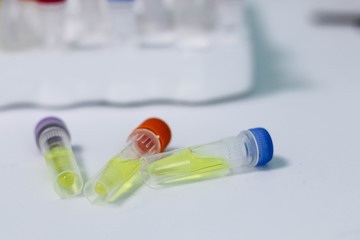 Tubes with ingredients necessary for real time PCR