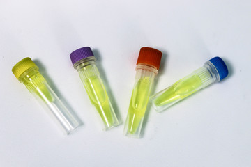 Tubes with ingredients necessary for real time PCR