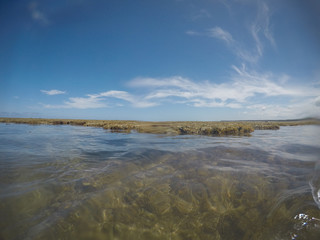 natural pools of Patacho Beach, Porto de Pedras, Alagoas, Brazil