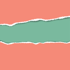 Ripped paper. Vector of ripped paper. the paper was ripped background.