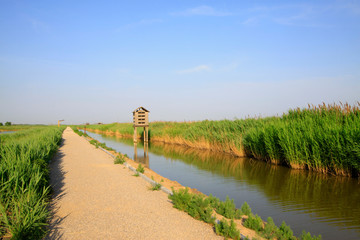 Roads and artificial bird's nest