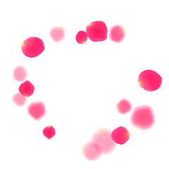 Pink rose petals falling vector valentine background.