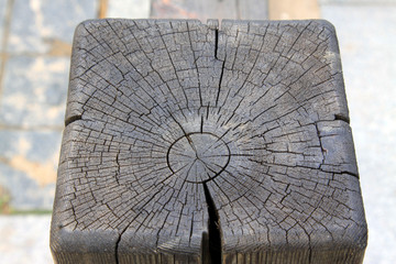Wooden cross section