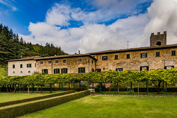 Fototapeta na wymiar estate on vineyard in Italy